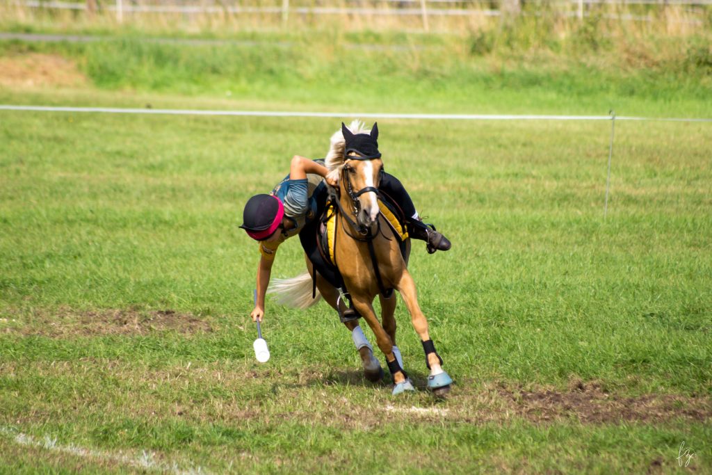 Rosalie und Moonlight, Aufnahme 4