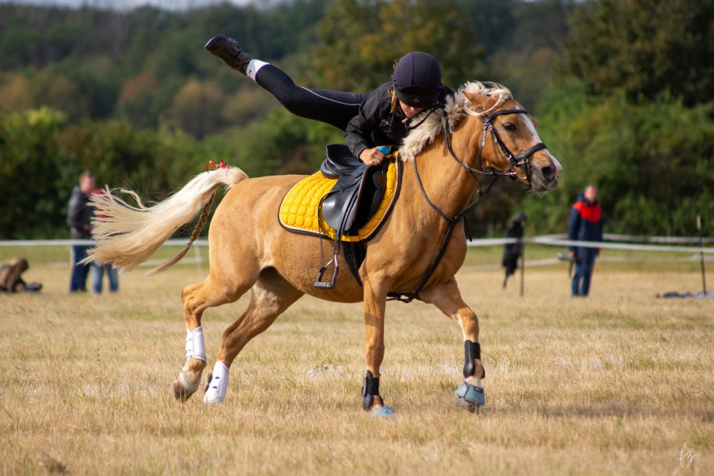 Rosalie und Moonlight, Aufnahme 3