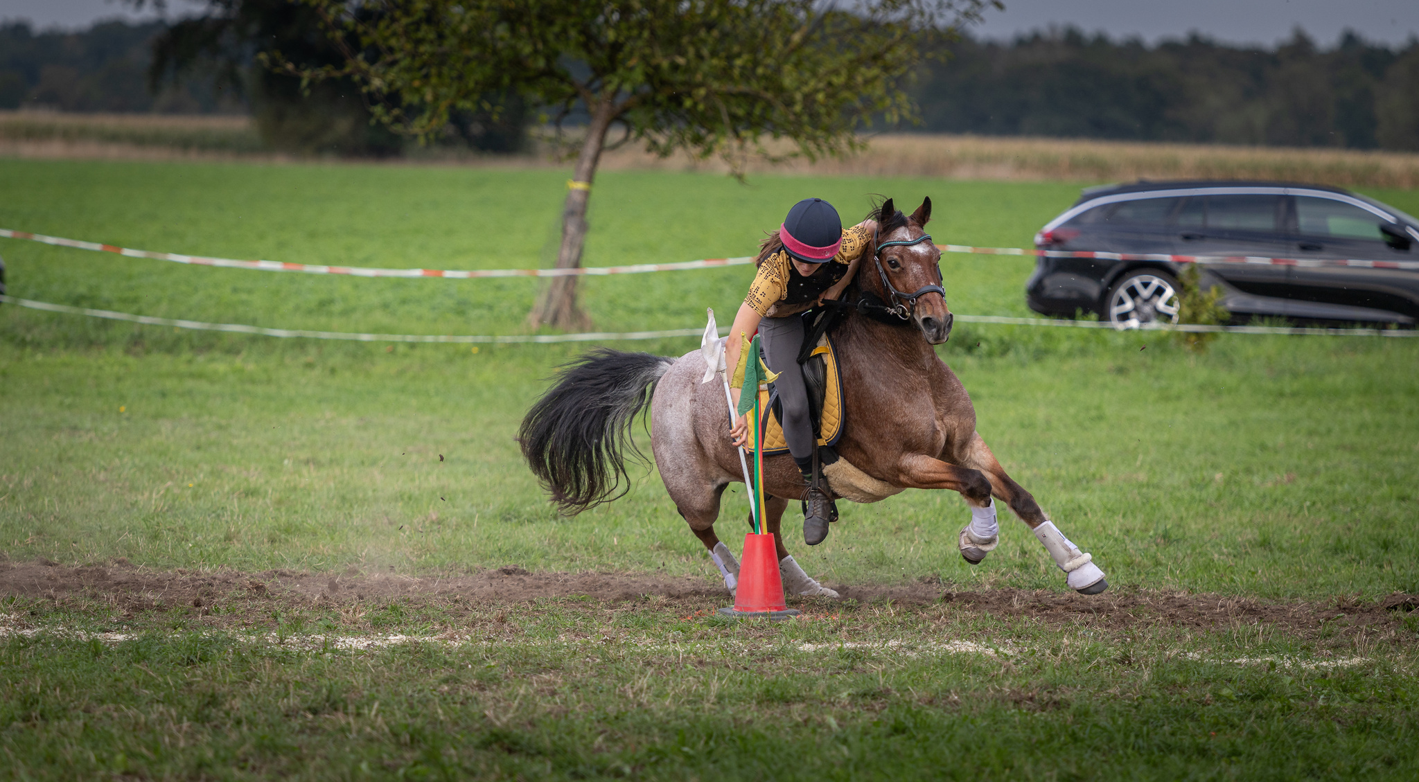 Forest Royal beim Championat 2026, Aufnahme 1