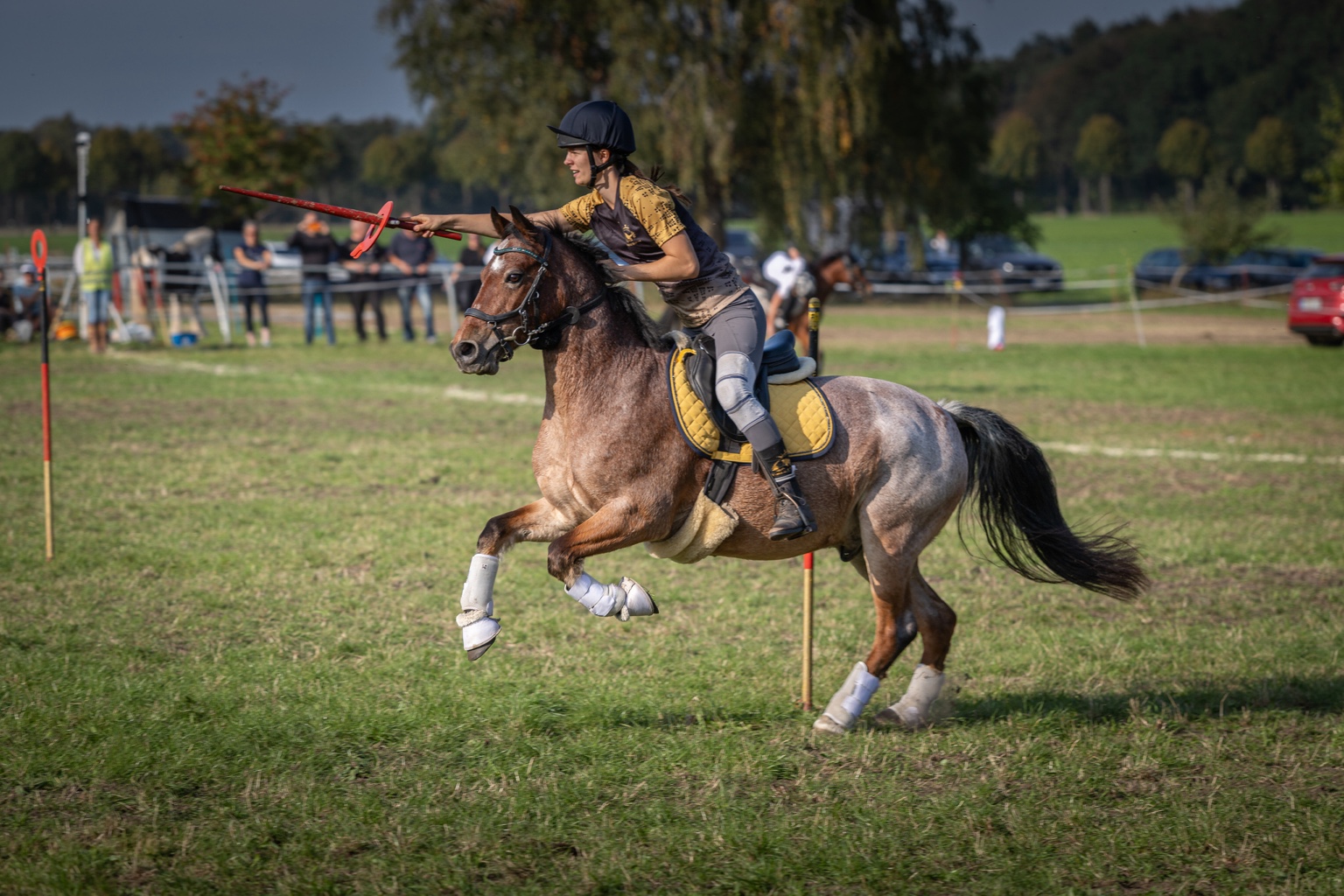 Forest Royal beim Championat 2026, Aufnahme 3