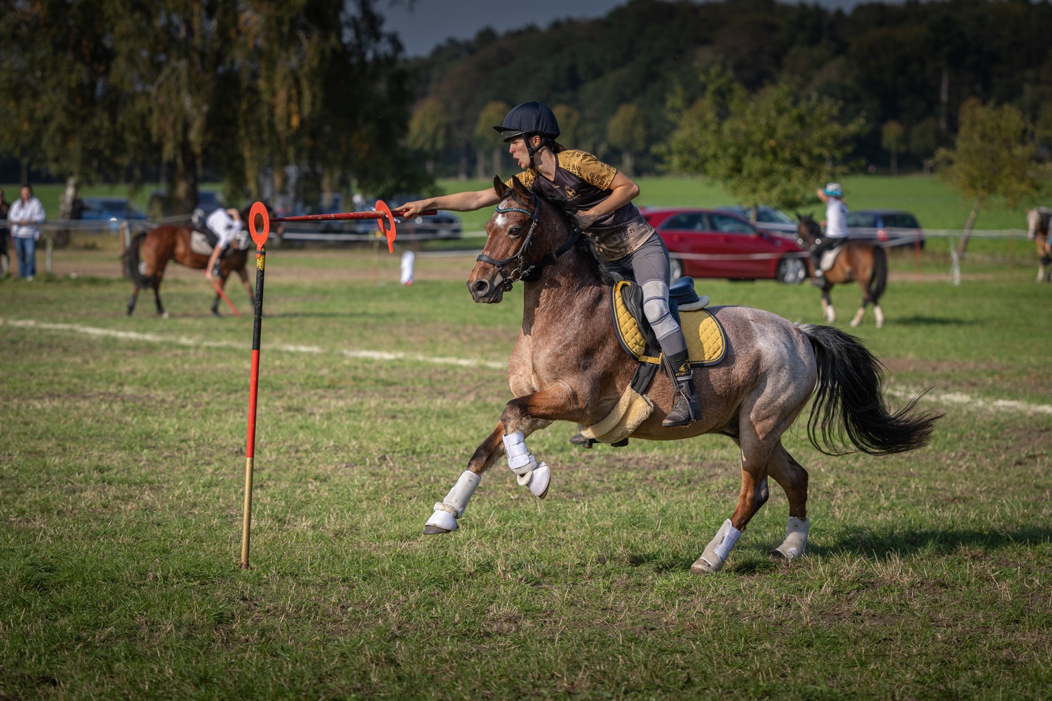 Forest Royal beim Championat 2026, Aufnahme 4