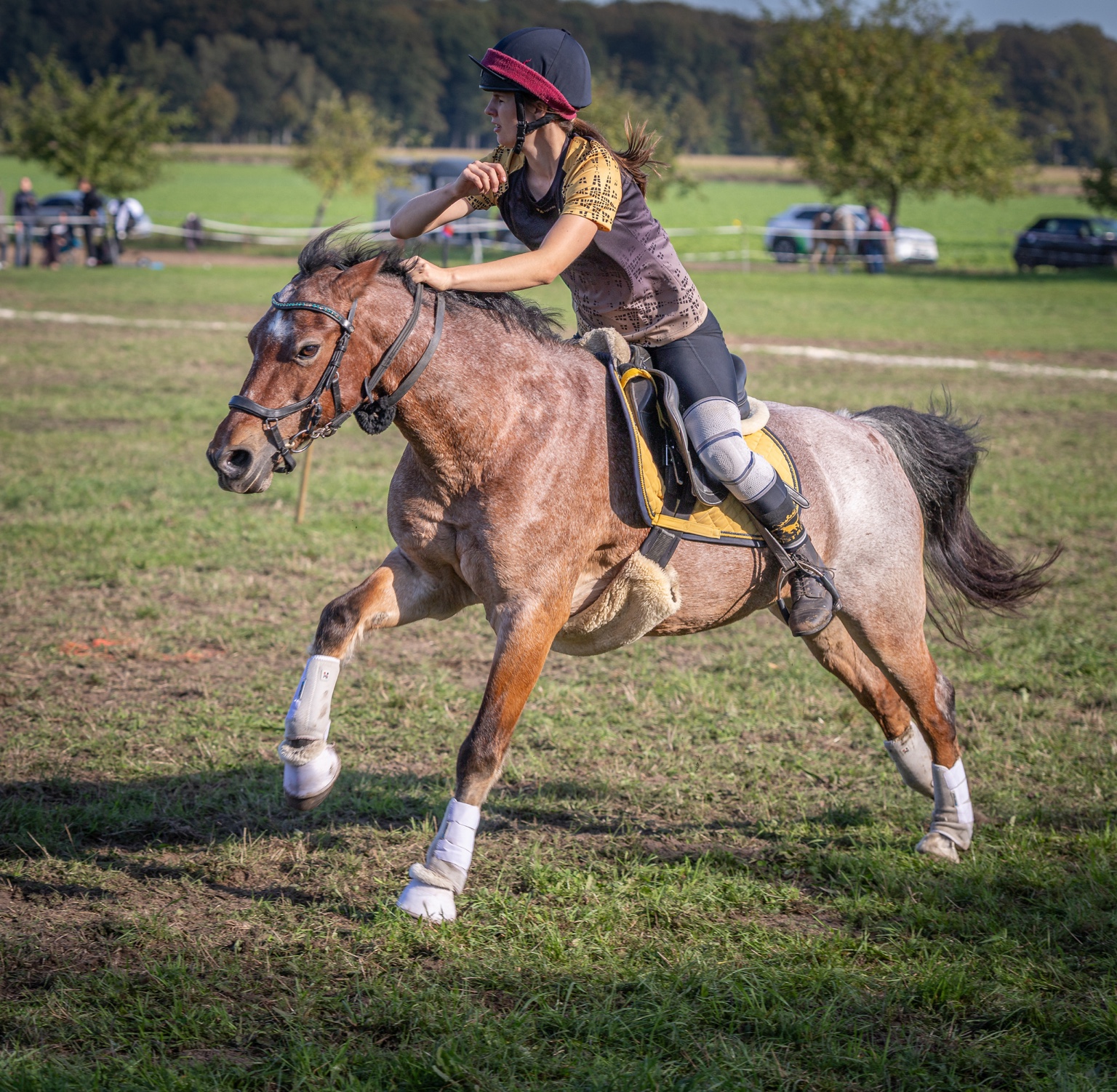 Forest Royal beim Championat 2026, Aufnahme 5