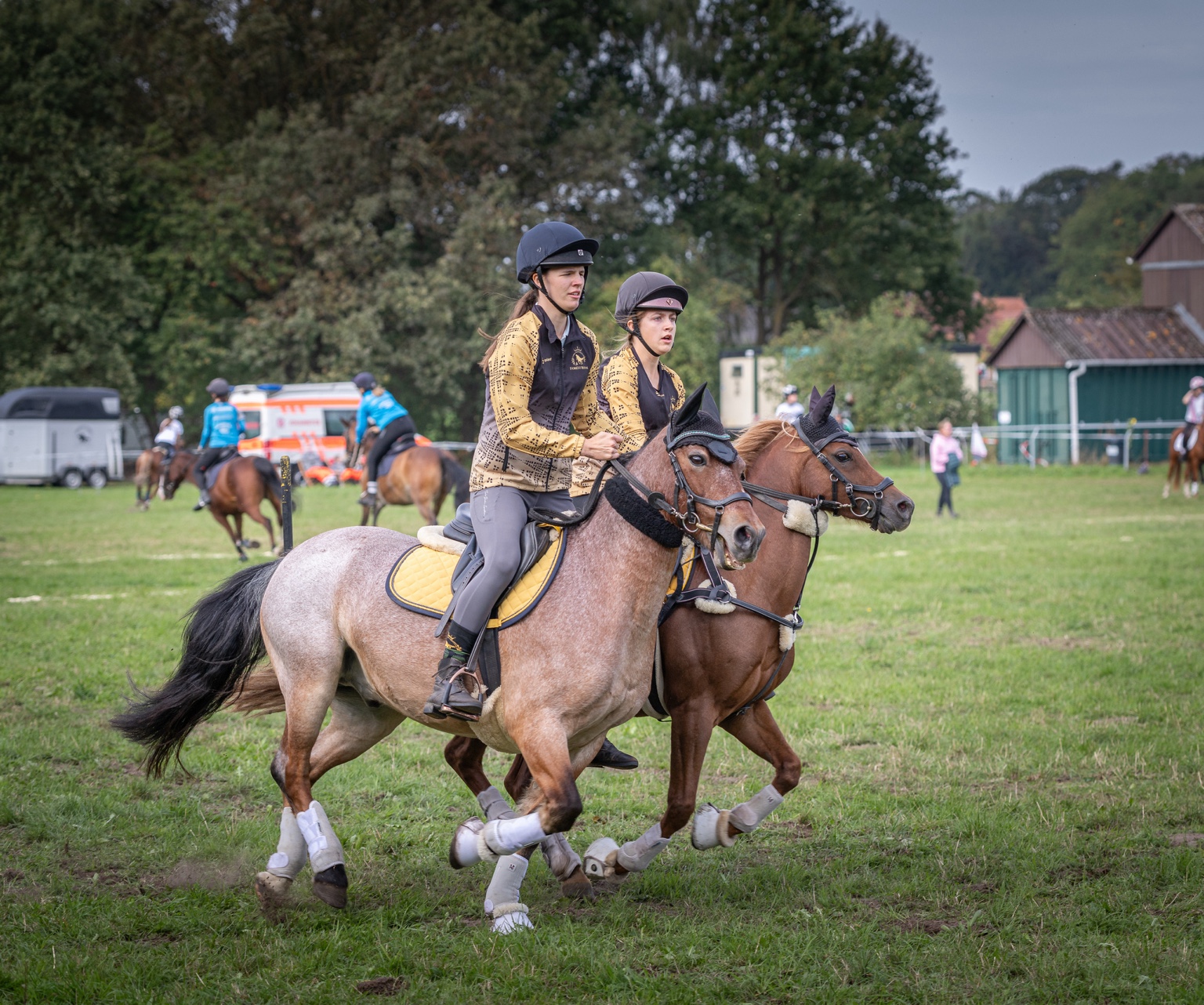 Forest Royal beim Championat 2026, Aufnahme 7