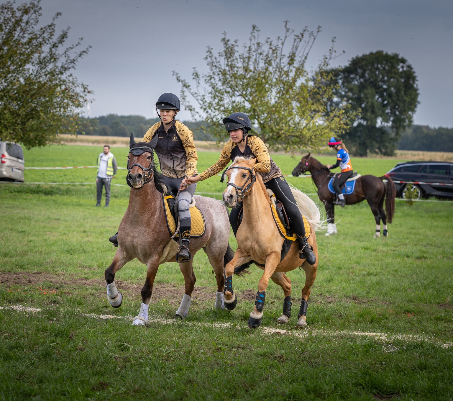 Forest Royal beim Championat 2026, Aufnahme 8